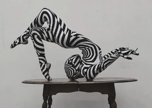 Zebra Twist